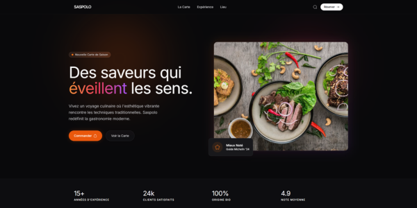 Aperçu du site SASPOLO